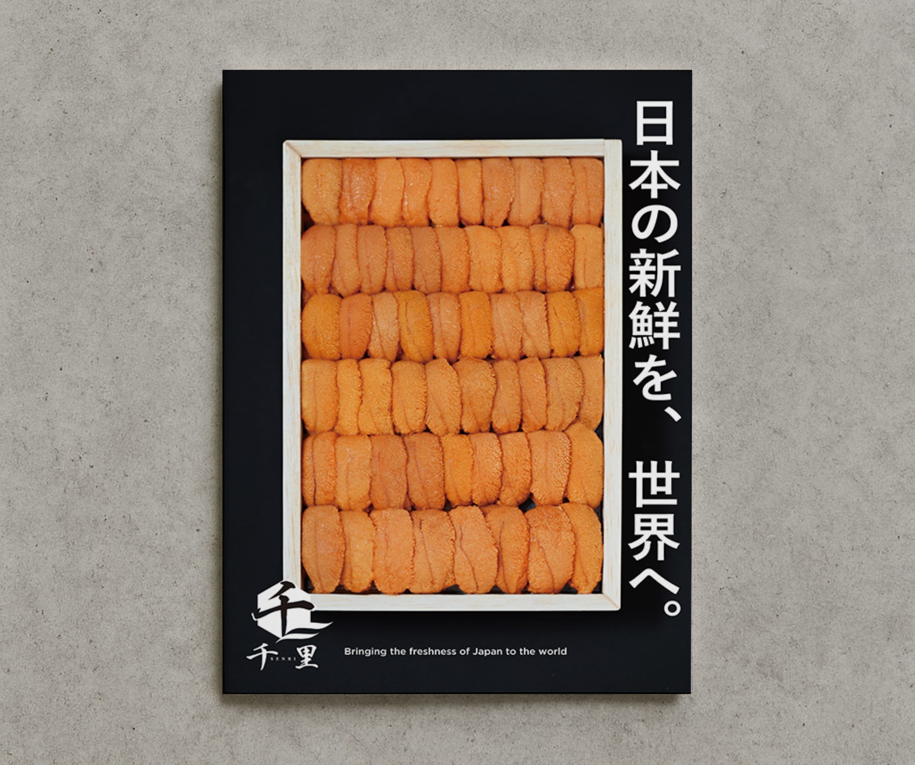 SENRI Catalog Designt