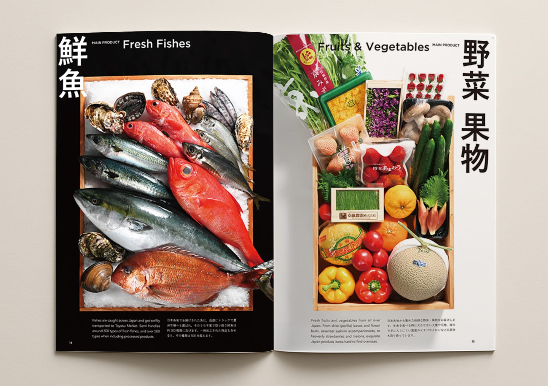 SENRI Catalog Designt