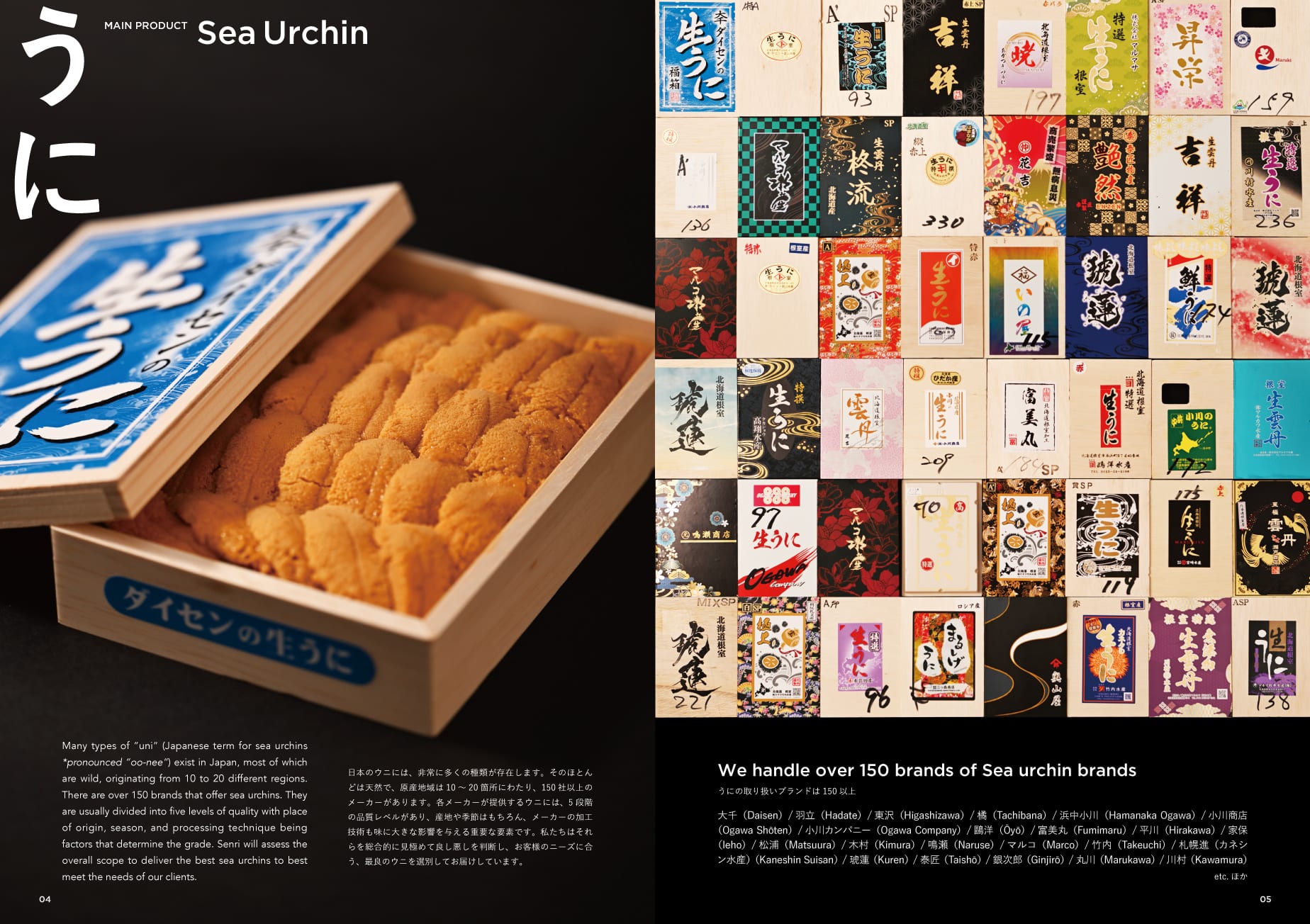 SENRI Catalog Designt